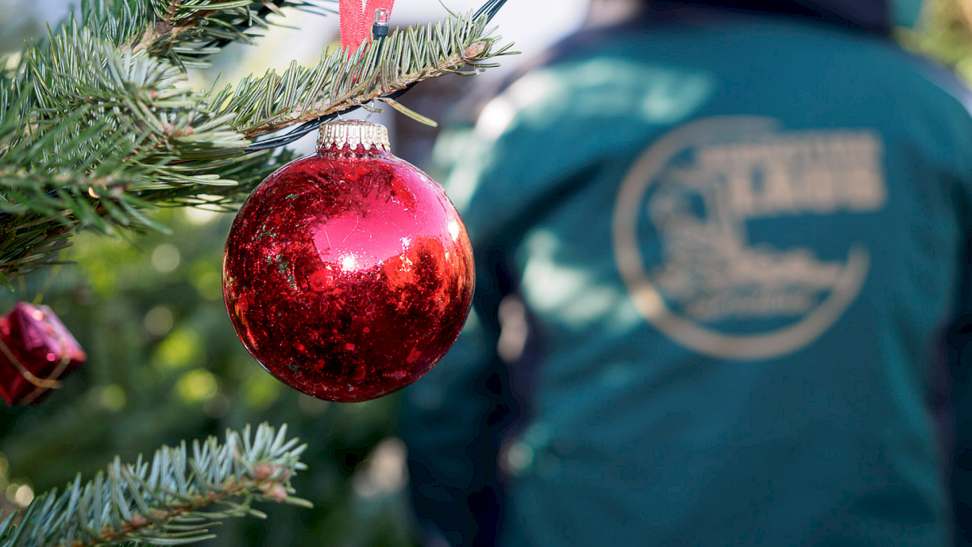 Weihnachtsbaumverkauf 2024